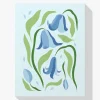 Bluebells
