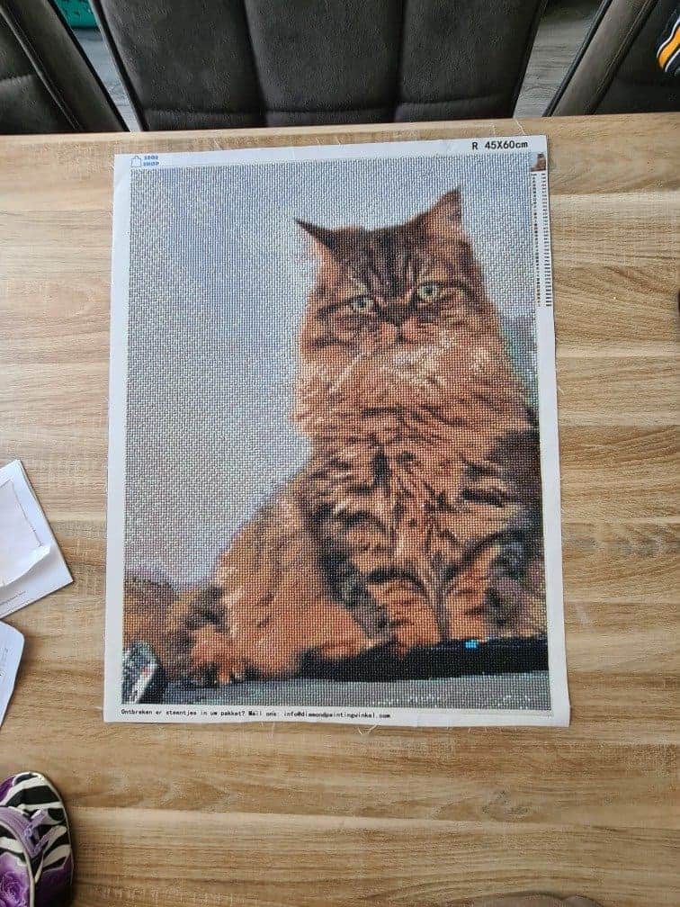 Pintar con diamantes eligiendo su propia foto, ¿en qué fijarse?