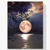 5D Pintura Diamante - Lago de la luna