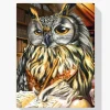 5D Pintura Diamante - Búho Escritor