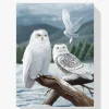 5D Pintura Diamante - Búhos blancos