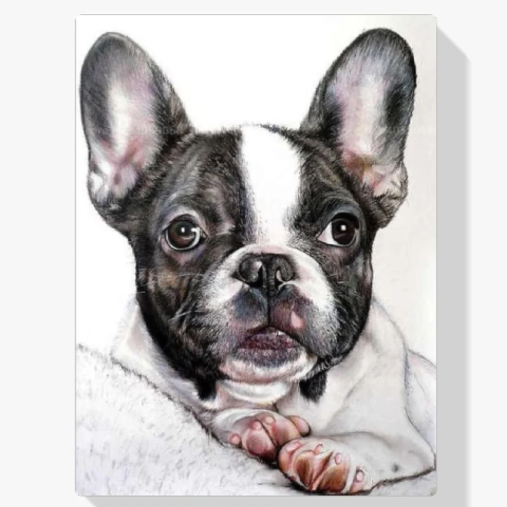 5D Pintura Diamante - Bulldog francés