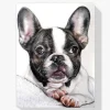 5D Pintura Diamante - Bulldog francés