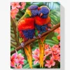 5D Pintura Diamante - Dos lindos loros