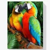 5D Pintura Diamante - Dos loros