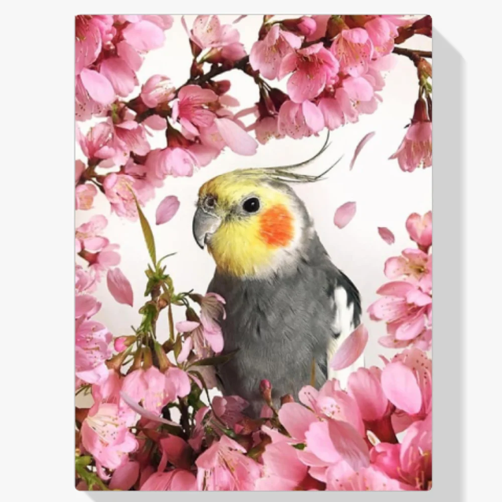 5D Pintura Diamante - El loro se encuentra con la flor
