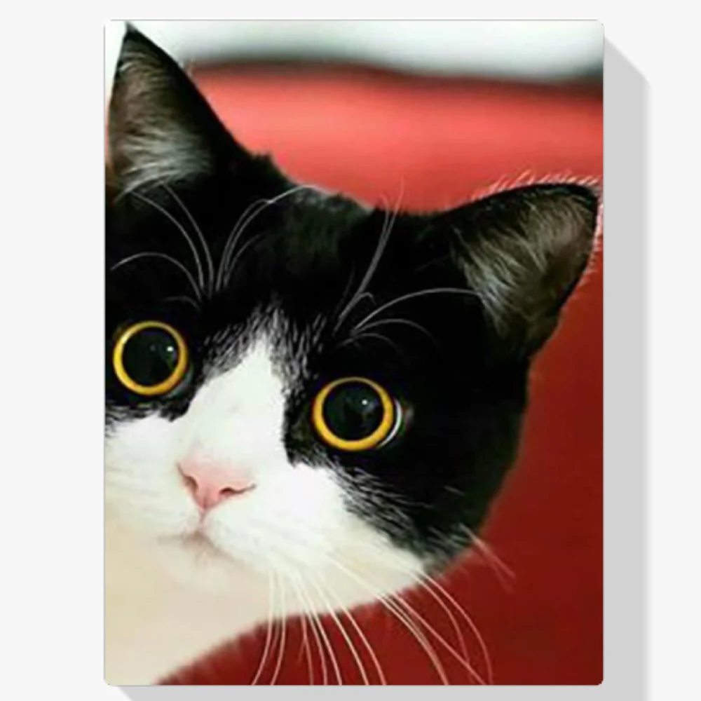 5D Pintura Diamante - Gato cara blanca y negra