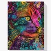 5D Pintura Diamante - Gato de colores