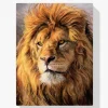 5D Pintura Diamante - León real