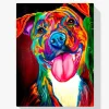 5D Pintura Diamante - Perro colorido