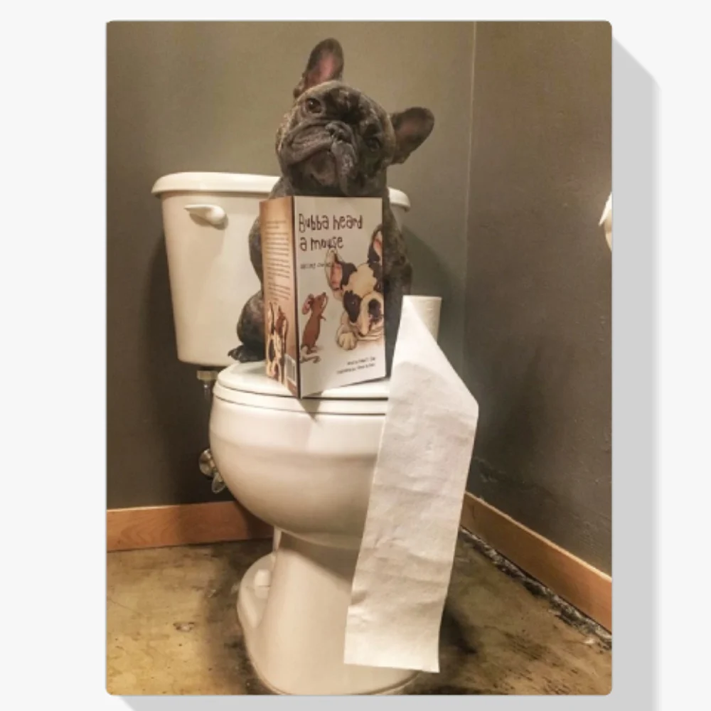 5D Pintura Diamante - Perro leído en libro