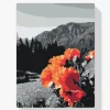 Pintura Diamante - Amapolas en las montañas