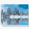 Pintura Diamante - Árboles cubiertos de nieve
