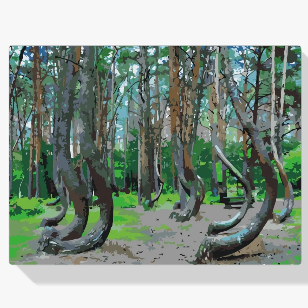 Pintura Diamante - Bosque inclinado, Polonia