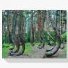 Pintura Diamante - Bosque inclinado, Polonia