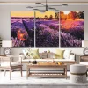 Pintura Diamante - Cama lavanda (Lote de 3)
