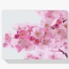 Pintura Diamante - Cerezo en flor