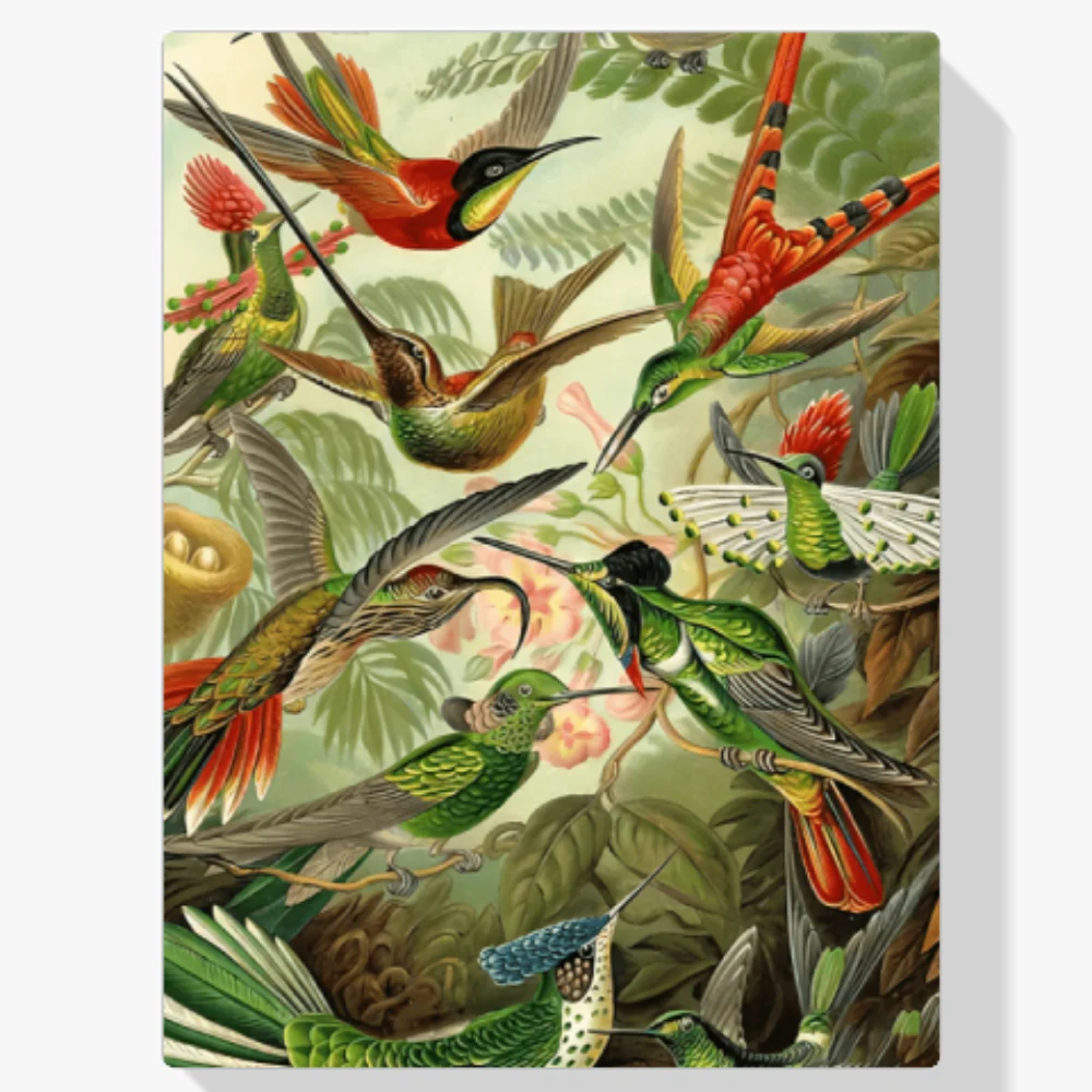 Pintura Diamante - Colibríes