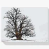 Pintura Diamante - El árbol solitario