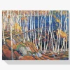 Pintura Diamante - En el Norte