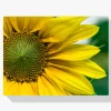 Pintura Diamante - Girasol amarillo