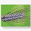 Pintura Diamante - Grano