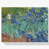 Pintura Diamante - Hermosas flores Van Gogh