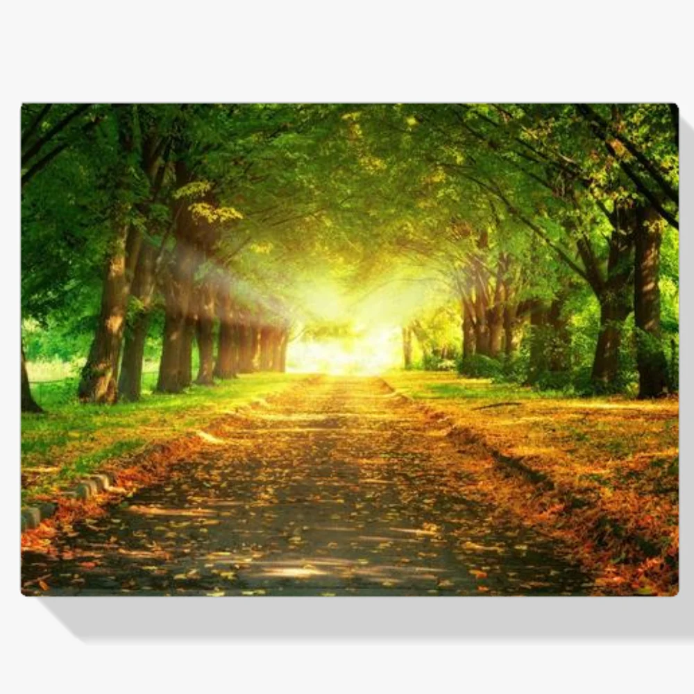 Pintura Diamante - Hojas en el bosque