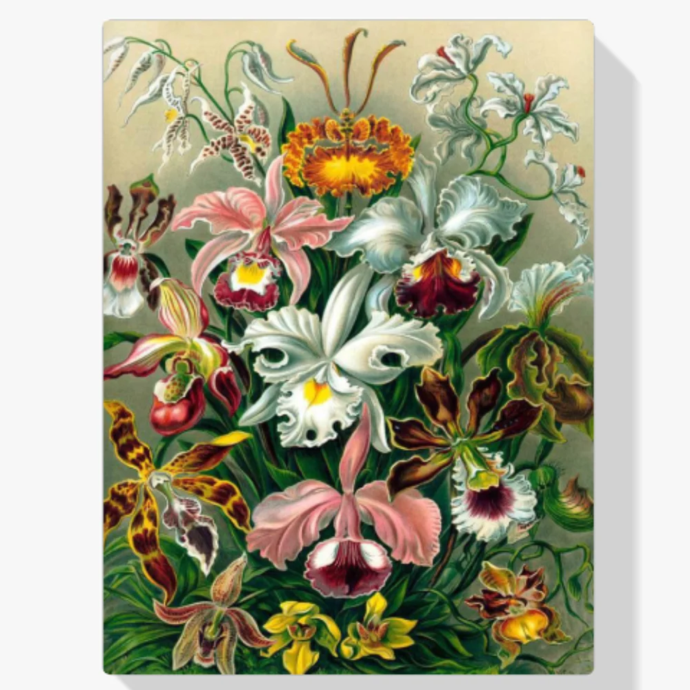 Pintura Diamante - Orquídea