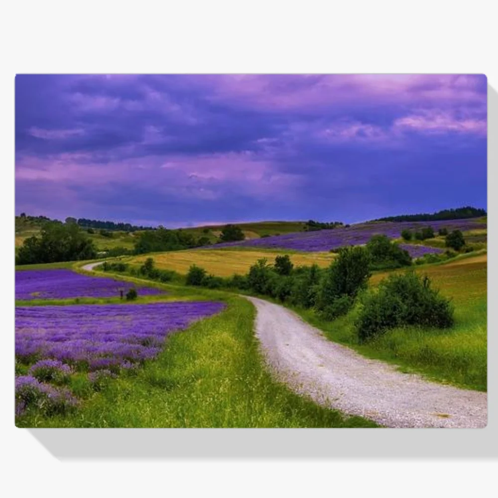 Pintura Diamante - Paisaje con cielo púrpura