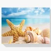 Pintura Diamante - Playa de conchas