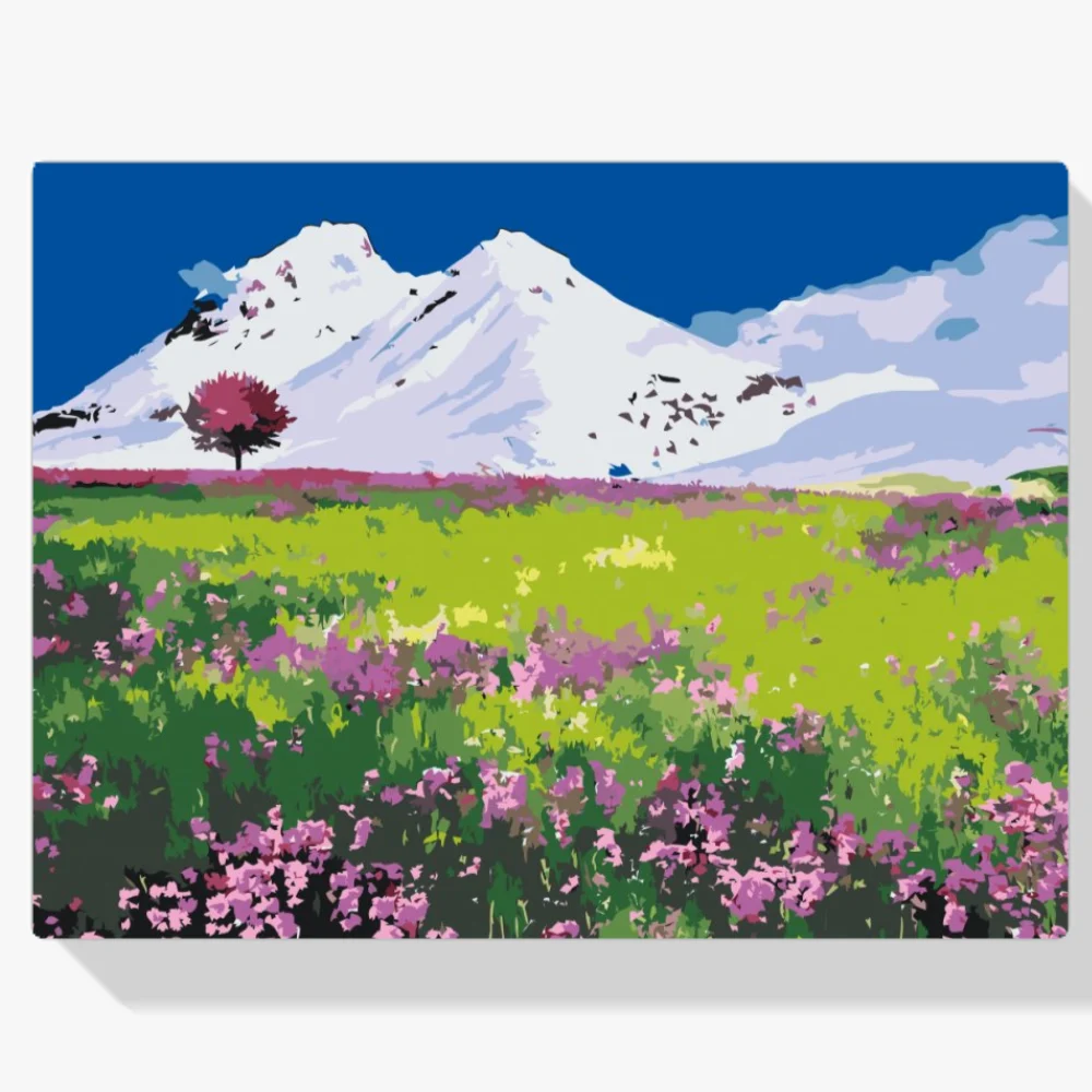Pintura Diamante - Pradera en medio de las montañas