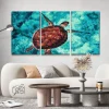 Pintura Diamante - Tortuga marina (Lote de 3)