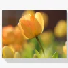 Pintura Diamante - Tulipán amarillo al sol