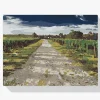 Pintura Diamante - Viñedos toscanos