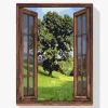 Pintura Diamante - Vista desde la ventana