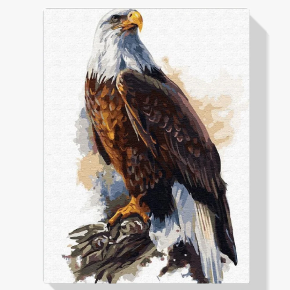 Pintura Diamante - Águila calva