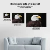 Pintura Diamante - Águila calva