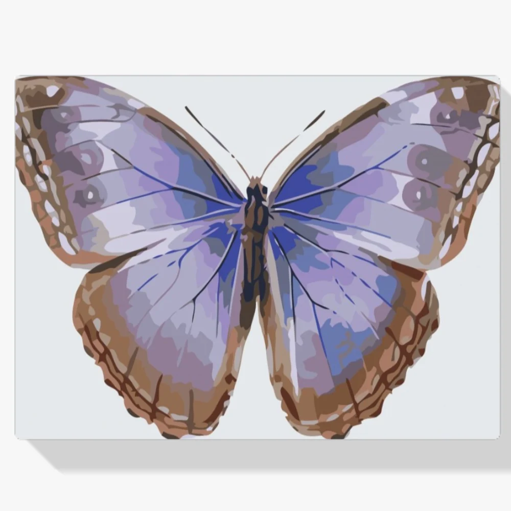 Pintura Diamante - Alas de mariposa