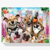 Pintura Diamante - Amigos animales