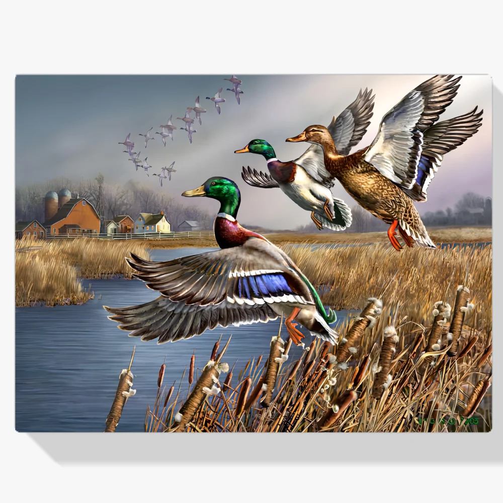 Pintura Diamante - Ánades reales