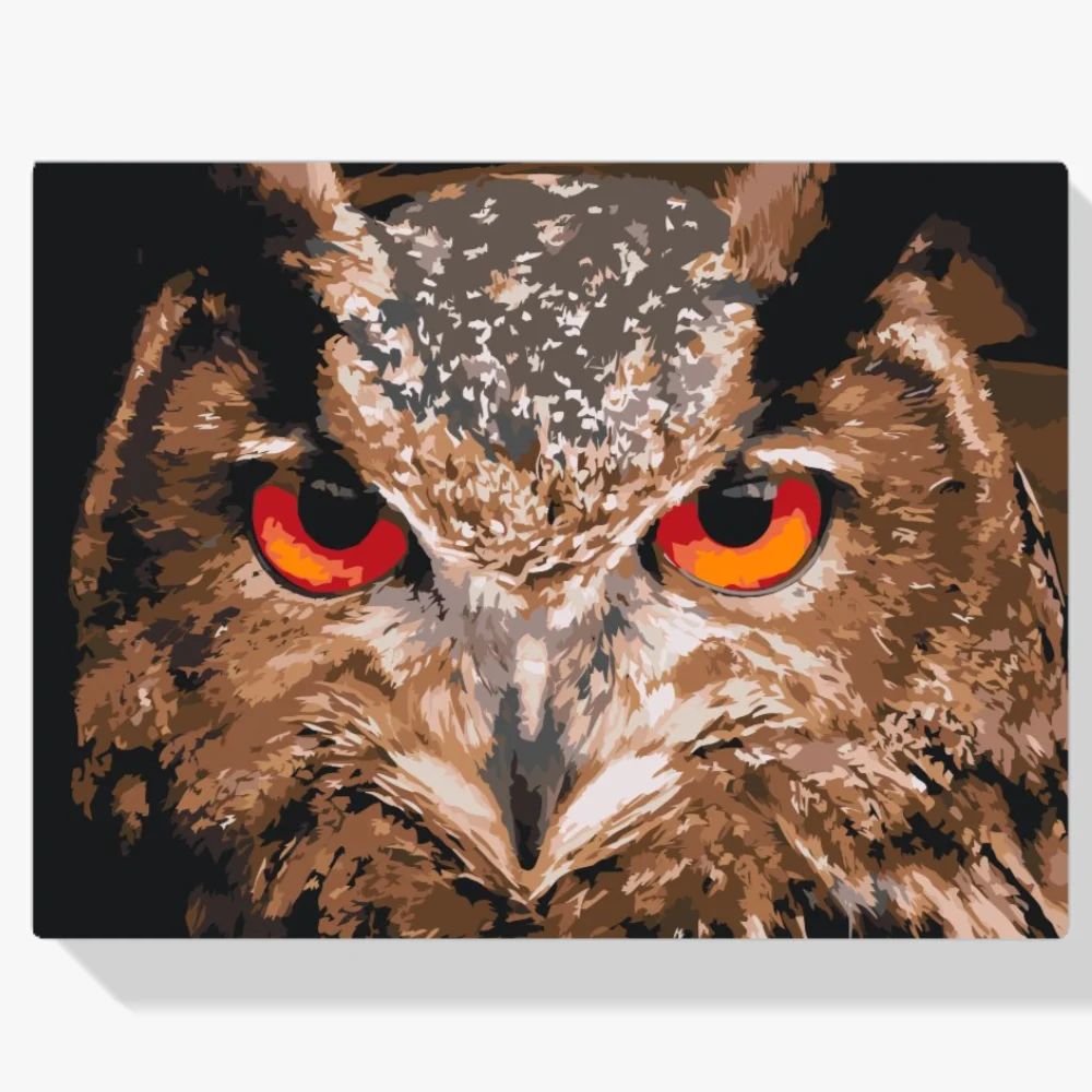 Pintura Diamante - Búho