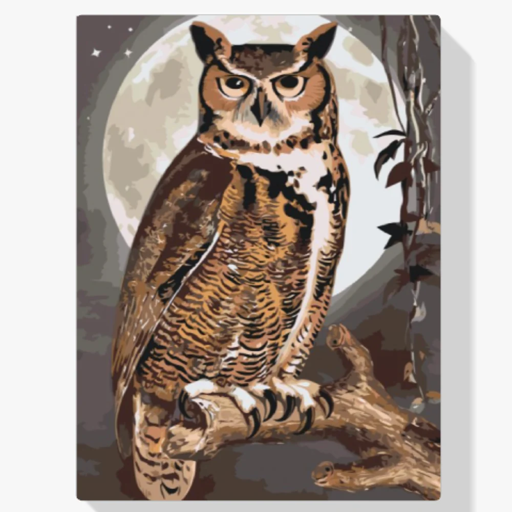 Pintura Diamante - Búho Sabio