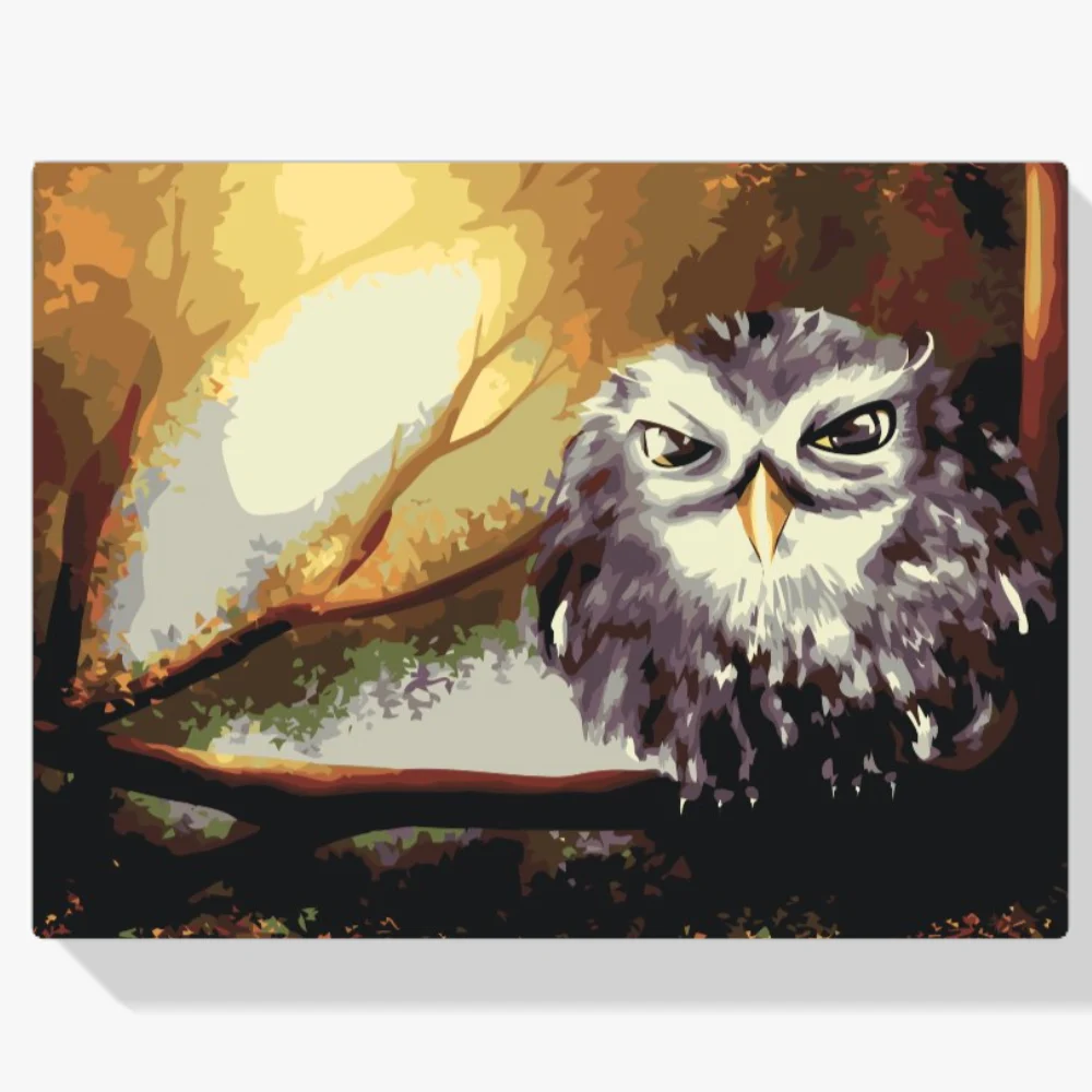 Pintura Diamante - Búho Sabio