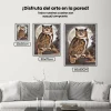 Pintura Diamante - Búho Sabio