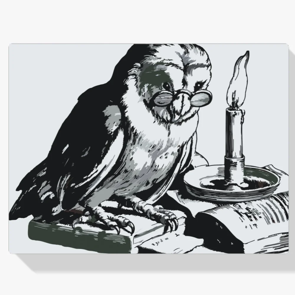 Pintura Diamante - Búho amaestrado