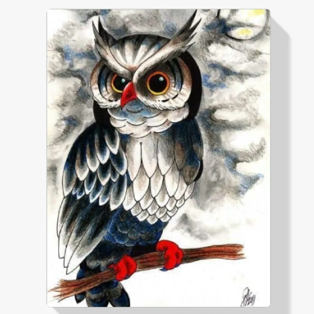 Pintura Diamante - Búho blanco y negro