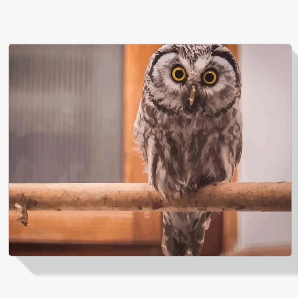Pintura Diamante - Búho boreales