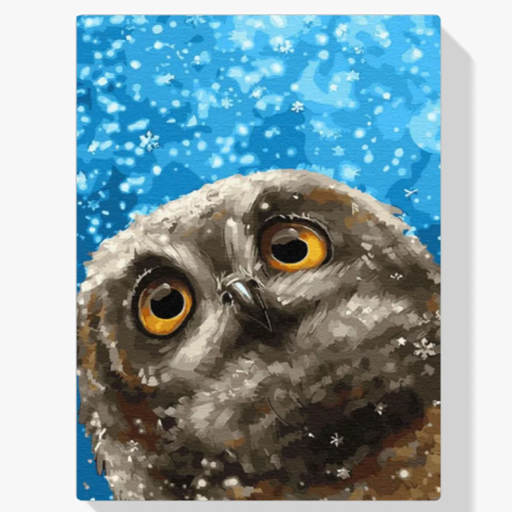 Pintura Diamante - Búho curioso