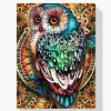 Pintura Diamante - Búho de colores
